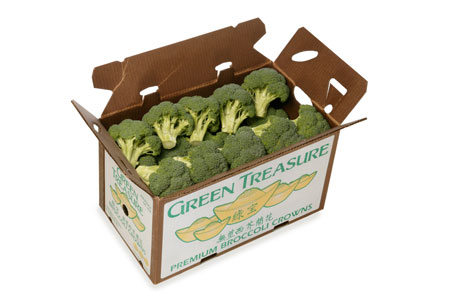 Green Treasure Broccoli